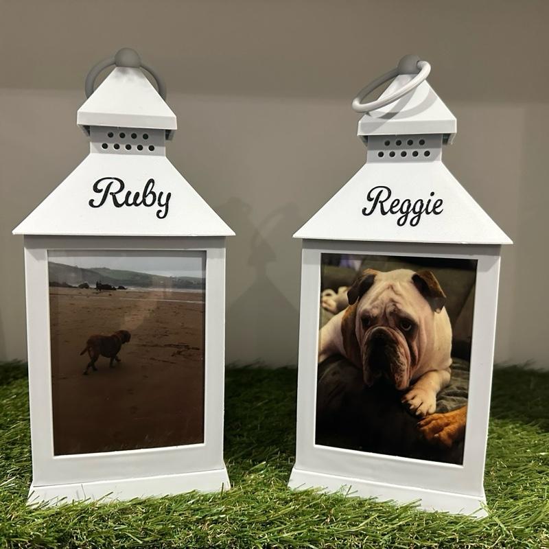 Photo personalised pet out door grey lantern with built in 6 timer