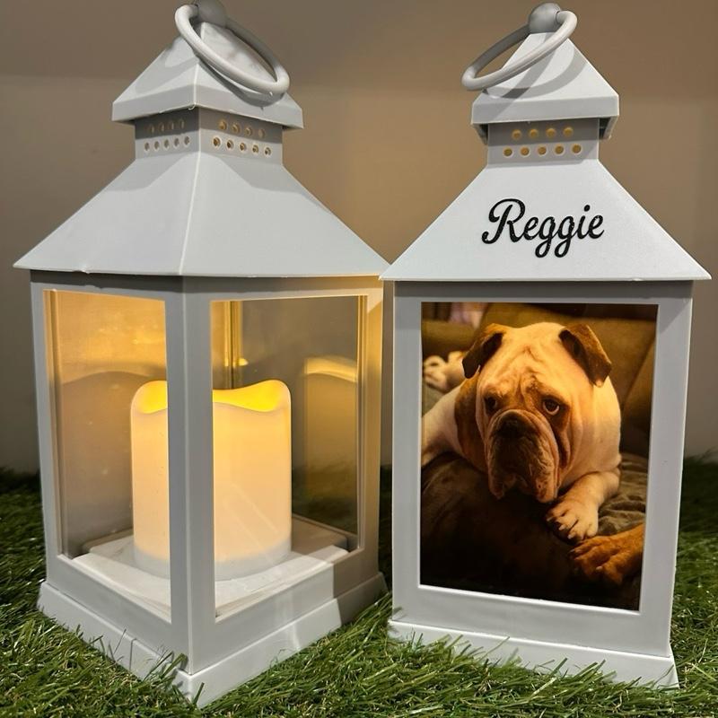 Photo personalised pet out door grey lantern with built in 6 timer
