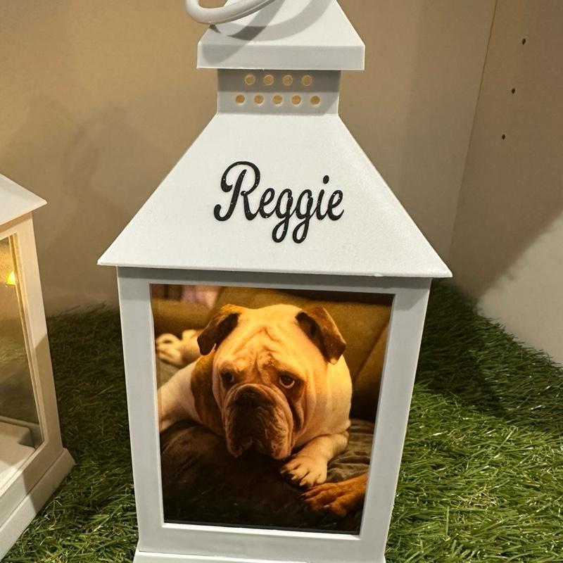 Photo personalised pet out door grey lantern with built in 6 timer