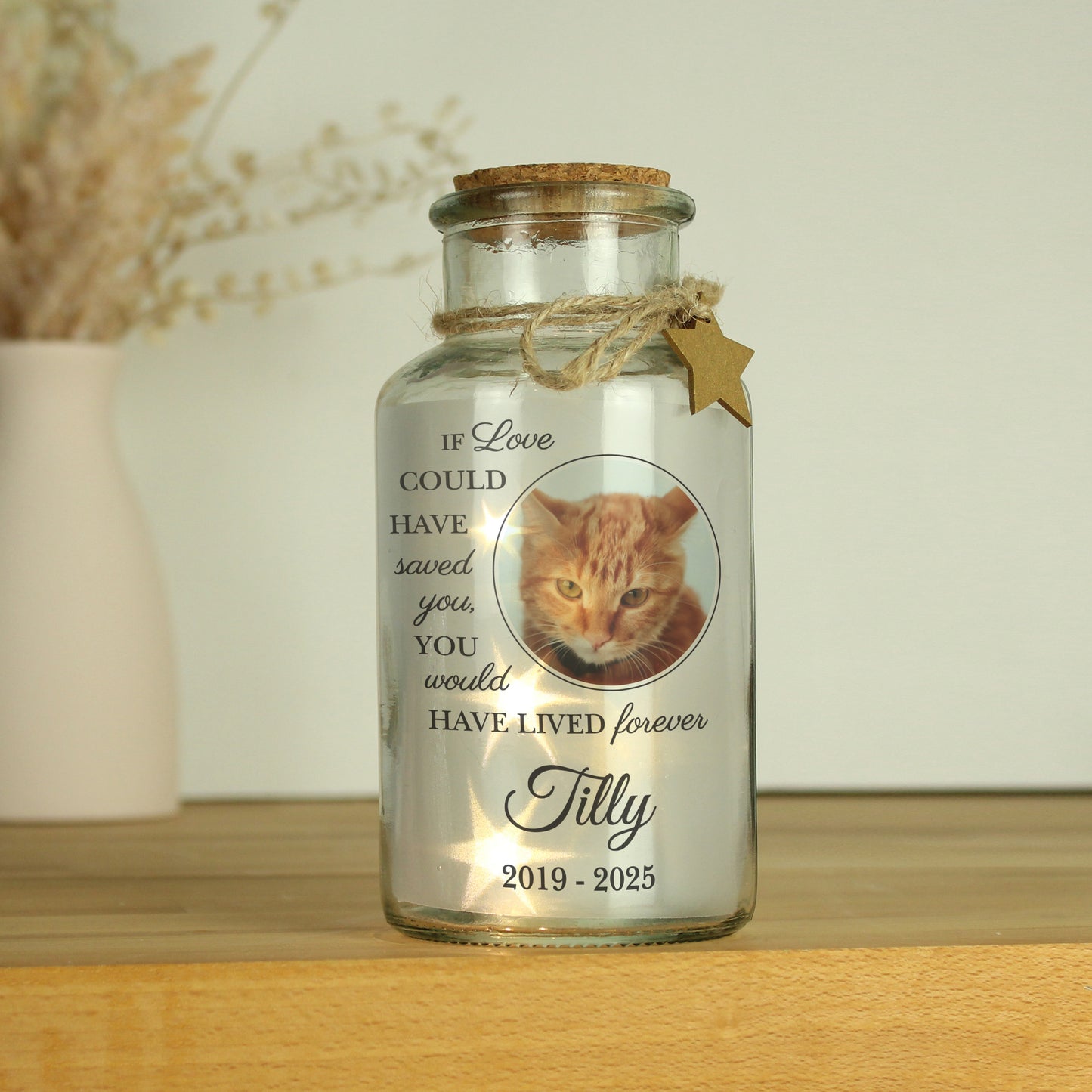Personalised Pet Memorial Photo LED Light Up Jar