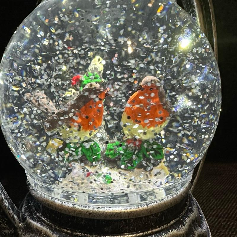 Personalised Robin glitter snow globe lantern indoor