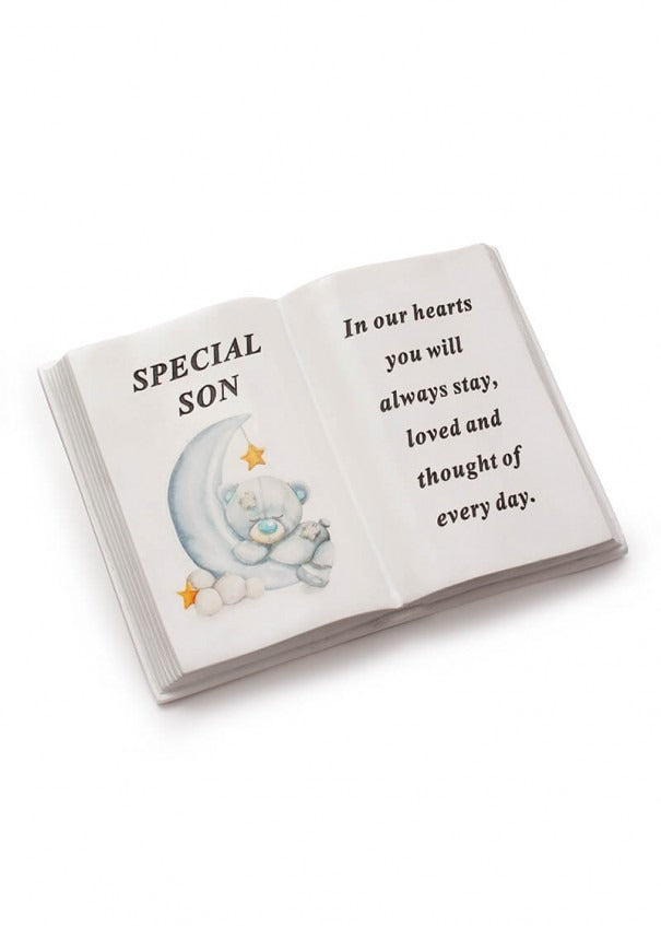 Options - Blue or Pink Moon Bear memorial Book