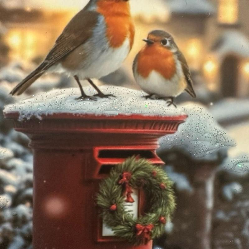 Personalised memorial Christmas robin design outdoor slate with glitter details
