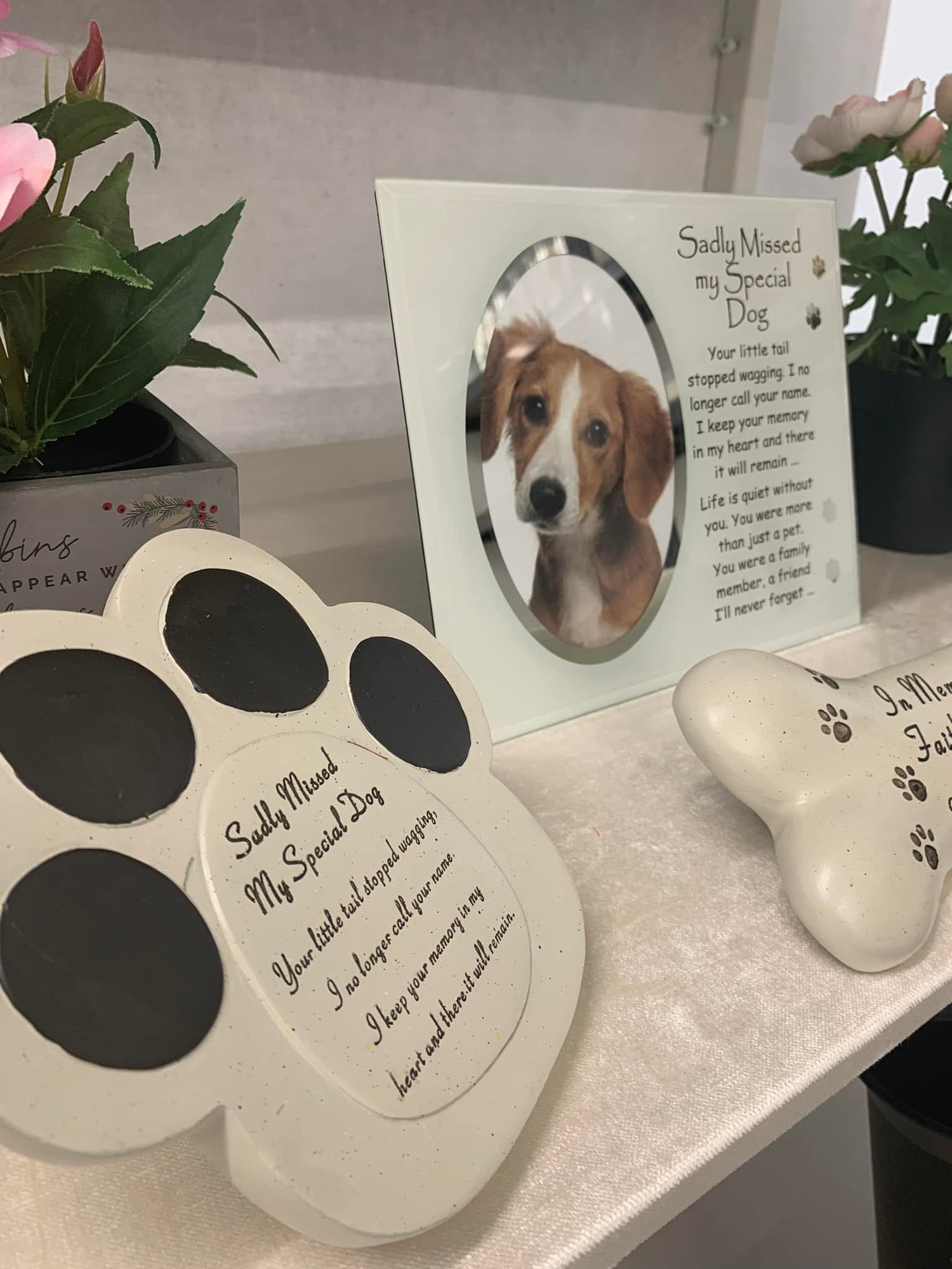 Pet memorial