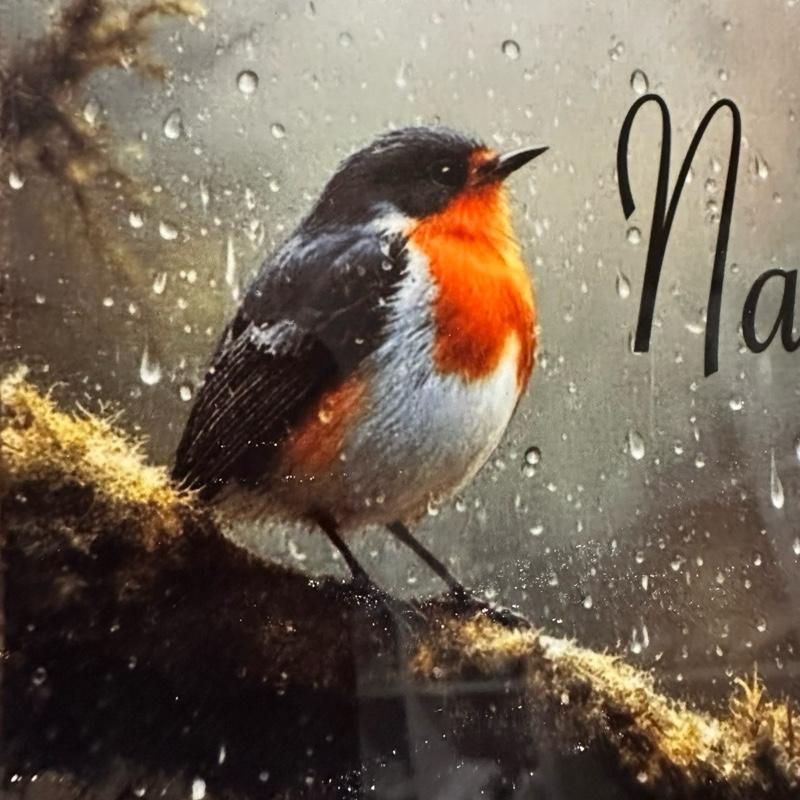 Personalised memorial winter window robin design outdoor or In slate door