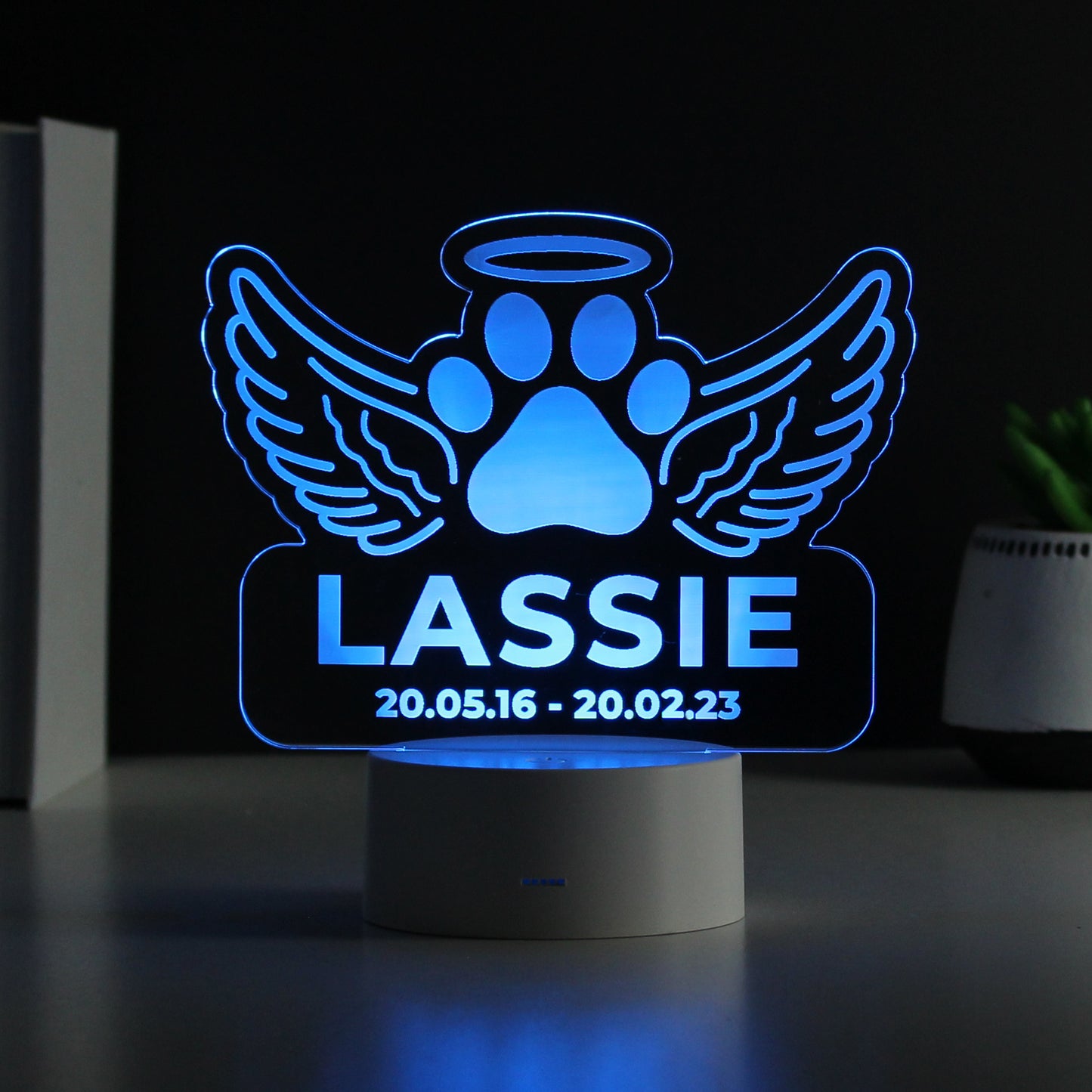 Personalised Pet Memorial Colour Changing LED Light