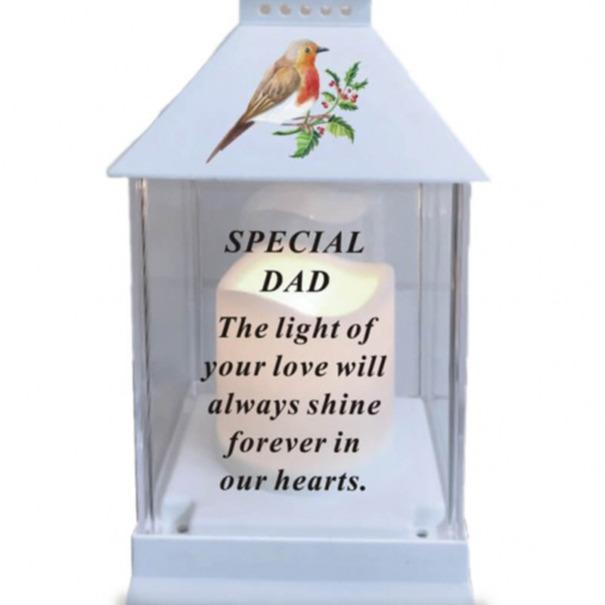 Options Robin lantern with timer - outdoor use
