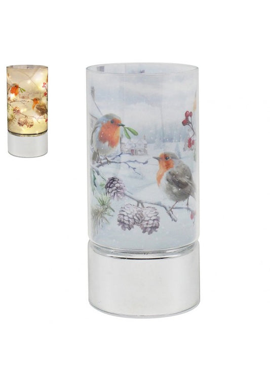 LED Robin Scene Christmas Tube Light